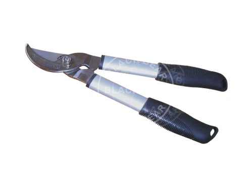 BLG215.jpg