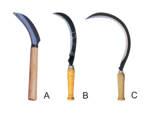 BLG601ABC.jpg