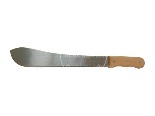 BLG609.jpg