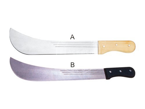 BLG613.jpg