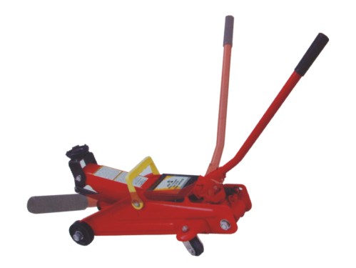 BLS113.jpg