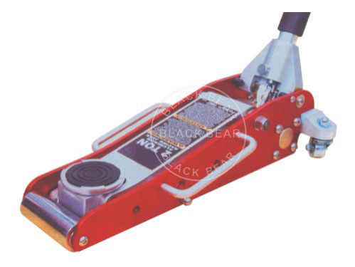 BLS111.jpg