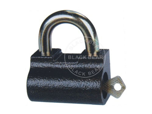 BLV335.jpg