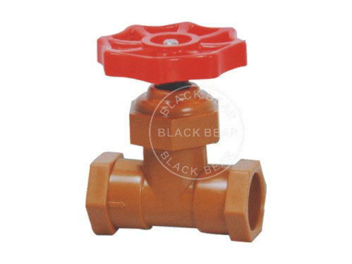 BLY328.jpg