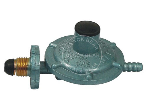 BLY509.jpg