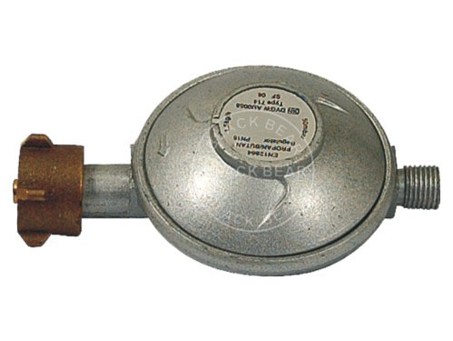 BLY512.jpg