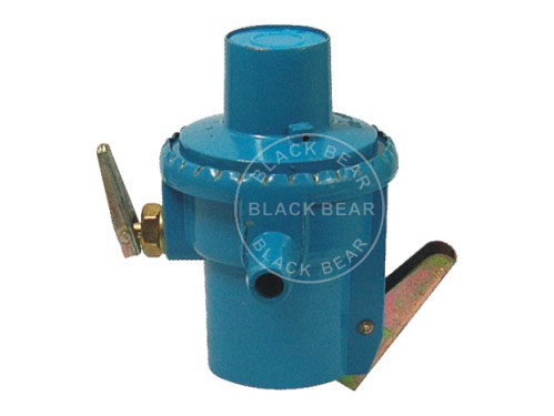 BLY517.jpg