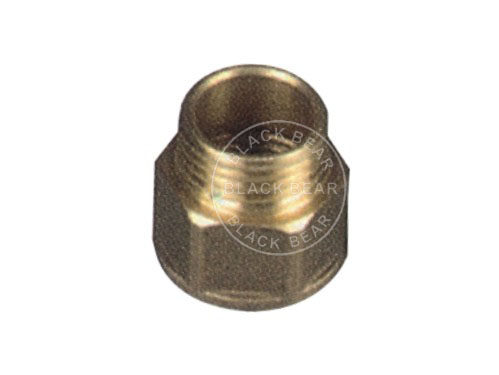 BLY605.jpg