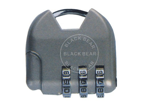BLV439.jpg