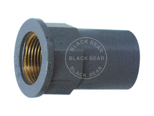 BLY725.jpg