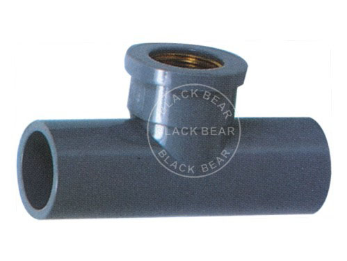 BLY727.jpg
