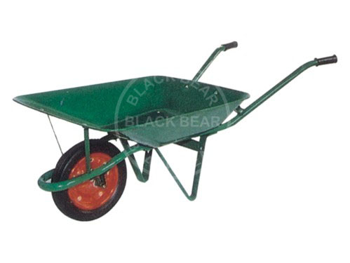 BLS403大.jpg