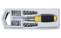 BLE309