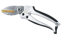 BLG101