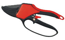 BLG111
