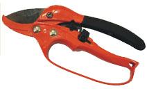 BLG113