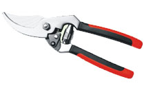 BLG117