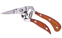 BLG123