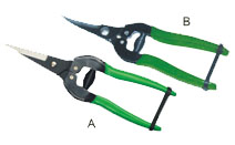BLG136