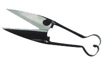BLG206