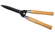 BLG208