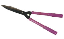 BLG209
