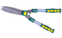 BLG210