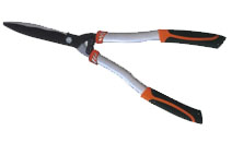 BLG212