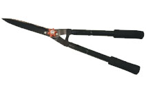 BLG214