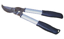 BLG215