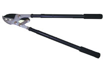 BLG218