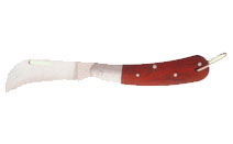 BLG224