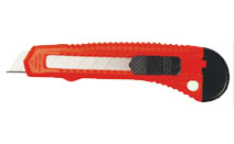 BLG305
