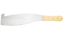 BLG608