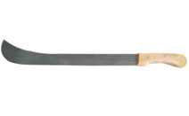 BLG610