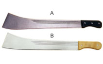 BLG615