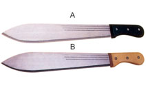 BLG616