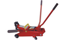 BLS113