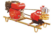 BLS305