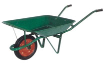 BLS403