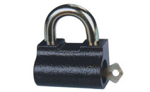 BLV335