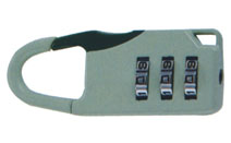 BLV436