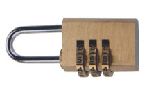 BLV437