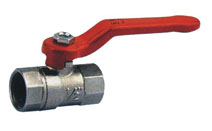 BLY111