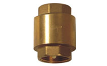 BLY119